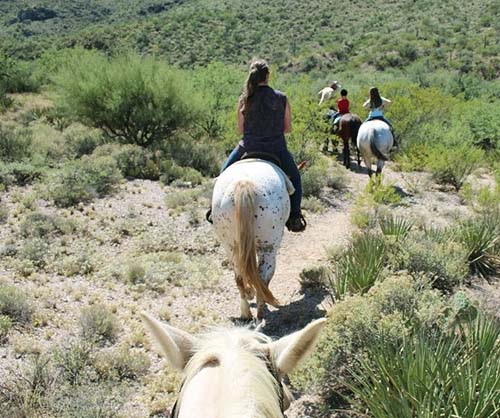 Mountain-Park-More-Than-Meets-the-Eys-Colossal-Cav